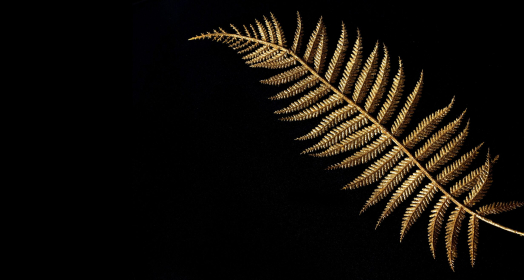 Big,Golden,Leaf,On,Black,Background